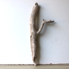 Treibholz Schwemmholz Driftwood 1 Skulptur  58 cm 