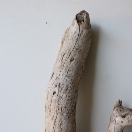 Treibholz Schwemmholz Driftwood 1 Skulptur  58 cm 