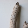 Treibholz Schwemmholz Driftwood 1 Skulptur  58 cm 