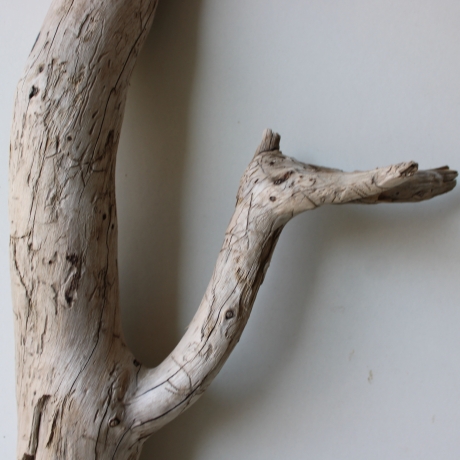 Treibholz Schwemmholz Driftwood 1 Skulptur  58 cm 