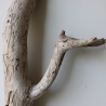 Treibholz Schwemmholz Driftwood 1 Skulptur  58 cm 