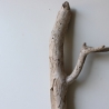 Treibholz Schwemmholz Driftwood 1 Skulptur  58 cm 