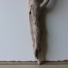 Treibholz Schwemmholz Driftwood 1 Skulptur  58 cm 