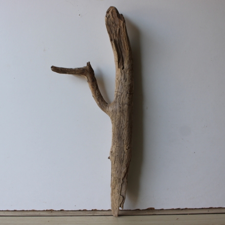 Treibholz Schwemmholz Driftwood 1 Skulptur  58 cm 