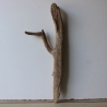 Treibholz Schwemmholz Driftwood 1 Skulptur  58 cm 