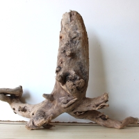 Treibholz Schwemmholz Driftwood 1  Wurzel  Terrarium 40 cm 