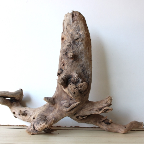 Treibholz Schwemmholz Driftwood 1  Wurzel  Terrarium 40 cm 