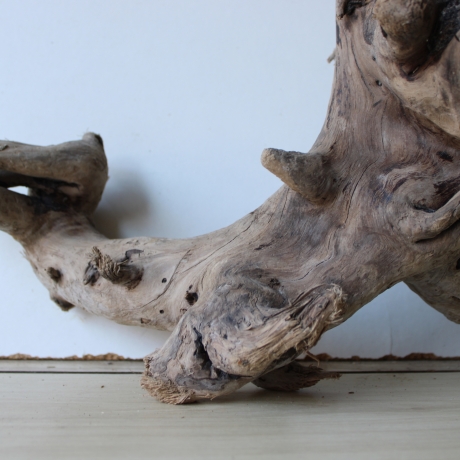 Treibholz Schwemmholz Driftwood 1  Wurzel  Terrarium 40 cm 