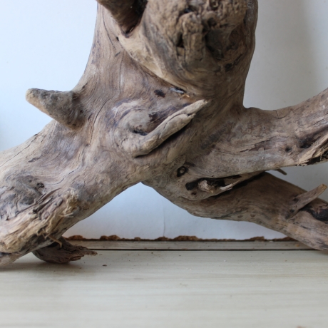 Treibholz Schwemmholz Driftwood 1  Wurzel  Terrarium 40 cm 