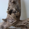 Treibholz Schwemmholz Driftwood 1  Wurzel  Terrarium 40 cm 