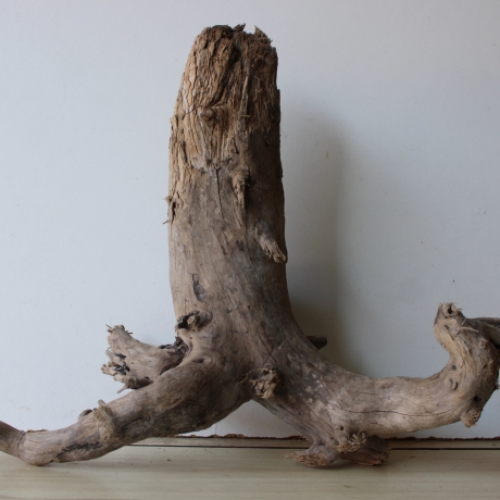 Treibholz Schwemmholz Driftwood 1  Wurzel  Terrarium 40 cm 