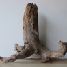 Treibholz Schwemmholz Driftwood 1  Wurzel  Terrarium 40 cm 