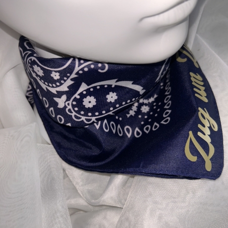 Halstuch Zug um Zug stylisch Bandana blau Eisenbahn