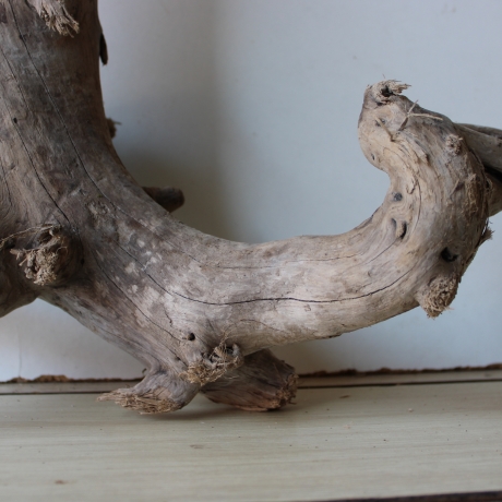 Treibholz Schwemmholz Driftwood 1  Wurzel  Terrarium 40 cm 