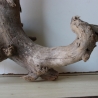 Treibholz Schwemmholz Driftwood 1  Wurzel  Terrarium 40 cm 