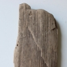 Treibholz Schwemmholz Driftwood 1 flache Skulptur  35 cm 