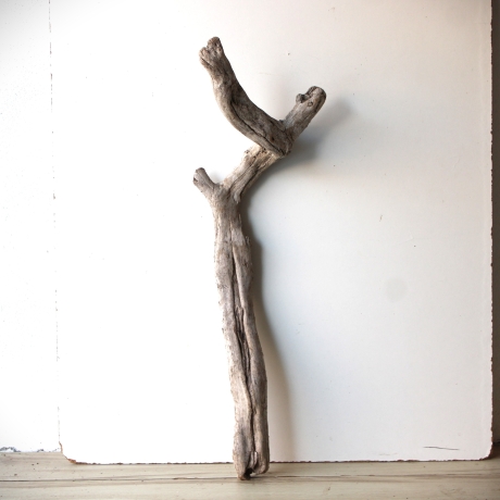 Treibholz Schwemmholz Driftwood 1 XL Wurzel  Terrarium 94 cm 