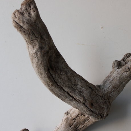 Treibholz Schwemmholz Driftwood 1 XL Wurzel  Terrarium 94 cm 