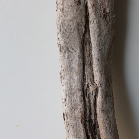 Treibholz Schwemmholz Driftwood 1 XL Wurzel  Terrarium 94 cm 