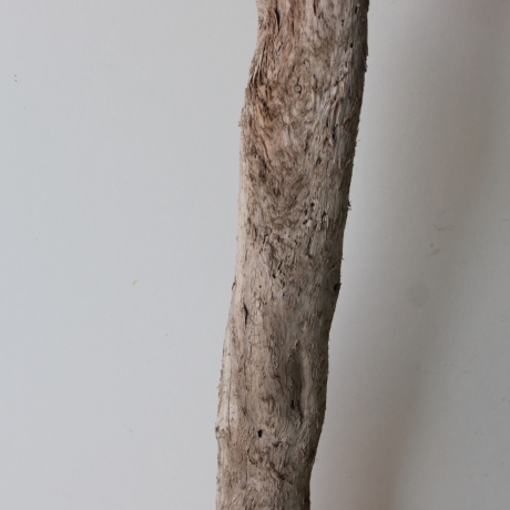 Treibholz Schwemmholz Driftwood 1 XL Wurzel  Terrarium 94 cm 