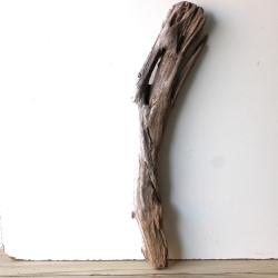 Treibholz Schwemmholz Driftwood 1 XL  Skulptur  75 cm 