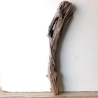 Treibholz Schwemmholz Driftwood 1 XL  Skulptur  75 cm 