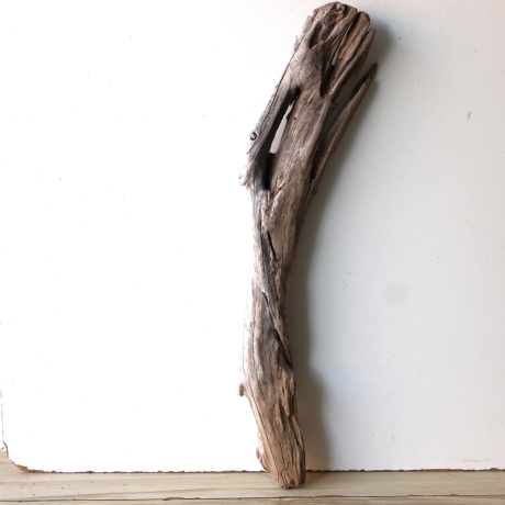 Treibholz Schwemmholz Driftwood 1 XL  Skulptur  75 cm 