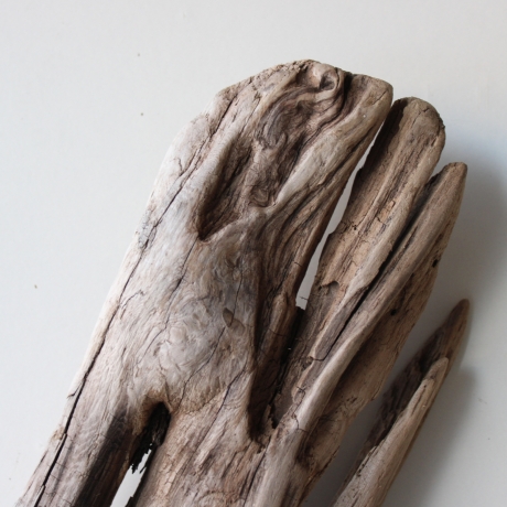 Treibholz Schwemmholz Driftwood 1 XL  Skulptur  75 cm 