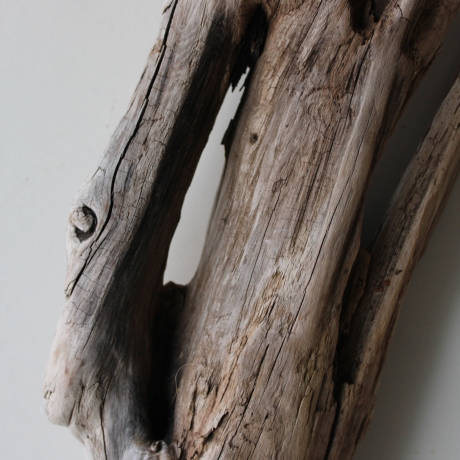 Treibholz Schwemmholz Driftwood 1 XL  Skulptur  75 cm 