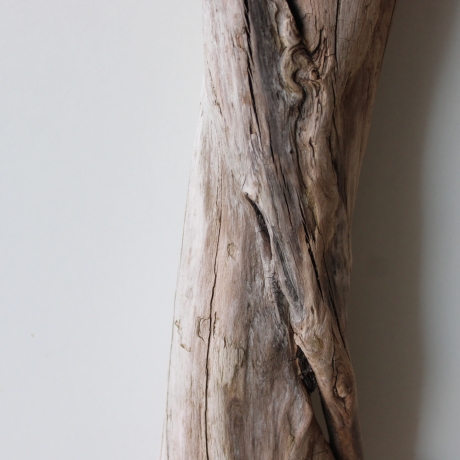 Treibholz Schwemmholz Driftwood 1 XL  Skulptur  75 cm 