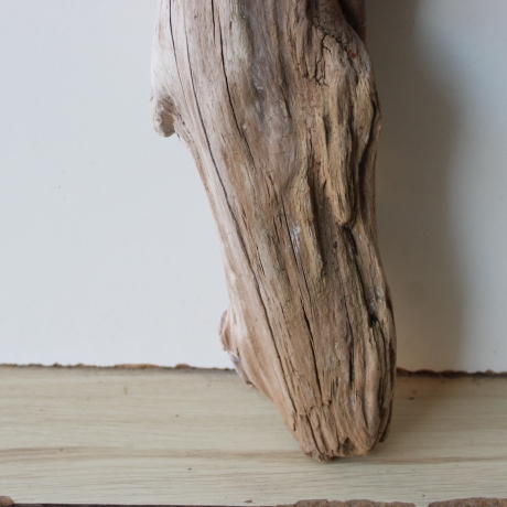 Treibholz Schwemmholz Driftwood 1 XL  Skulptur  75 cm 