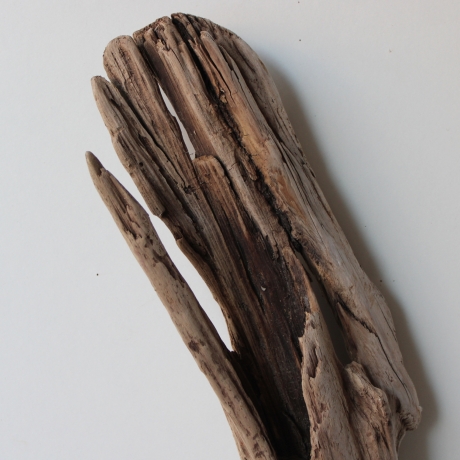 Treibholz Schwemmholz Driftwood 1 XL  Skulptur  75 cm 