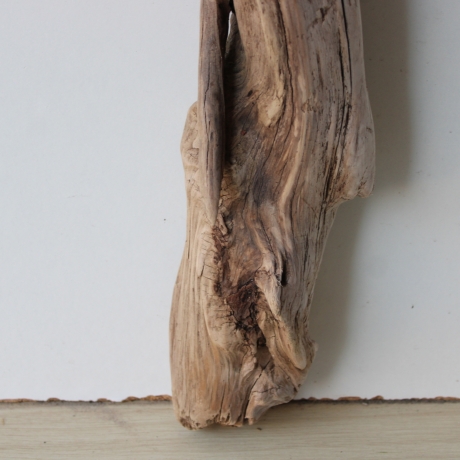 Treibholz Schwemmholz Driftwood 1 XL  Skulptur  75 cm 