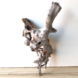 Treibholz Schwemmholz Driftwood 1  Wurzel  Terrarium 44 cm 