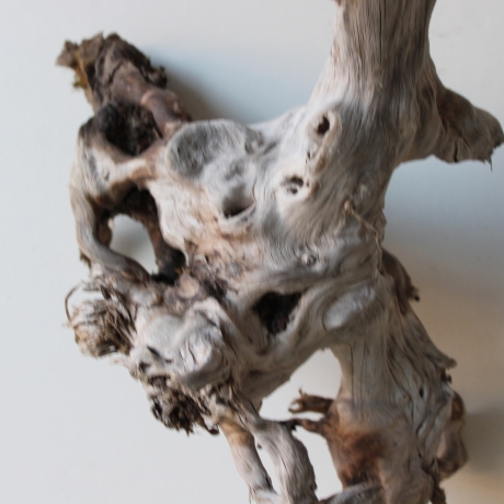 Treibholz Schwemmholz Driftwood 1  Wurzel  Terrarium 44 cm 