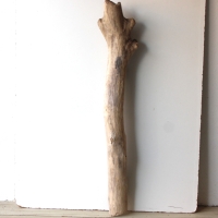 Treibholz Schwemmholz Driftwood 1 XXL Stamm  Terrarium 113 cm 