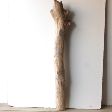 Treibholz Schwemmholz Driftwood 1 XXL Stamm  Terrarium 113 cm 