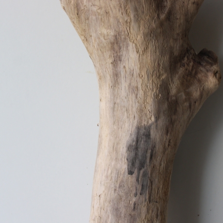 Treibholz Schwemmholz Driftwood 1 XXL Stamm  Terrarium 113 cm 