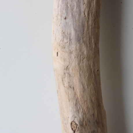 Treibholz Schwemmholz Driftwood 1 XXL Stamm  Terrarium 113 cm 