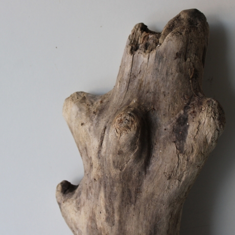 Treibholz Schwemmholz Driftwood 1 XXL Stamm  Terrarium 113 cm 