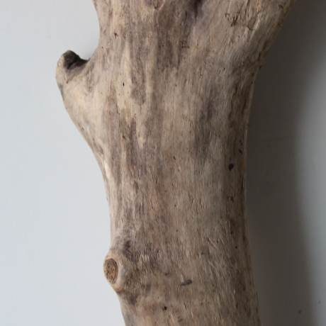 Treibholz Schwemmholz Driftwood 1 XXL Stamm  Terrarium 113 cm 