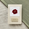 Klappkarte mit Umschlag • Alles Liebe zum Hochzeitstag