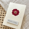 Alles Liebe • Geburtstagskarte mit Blume Rose Jubiläum