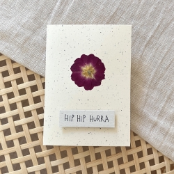 Hip Hip Hurra • Karte zum Geburtstag Prüfung mit Umschlag