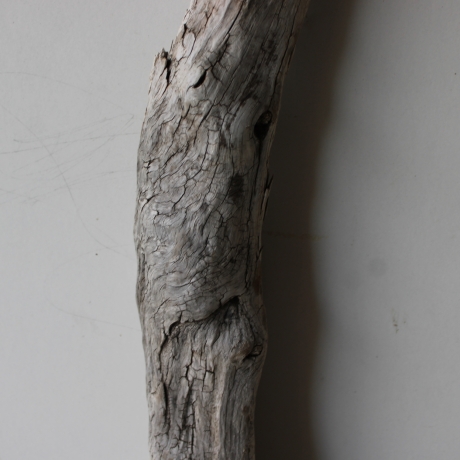 Treibholz Schwemmholz Driftwood 1 XXL Ast  Garderobe 117 cm 
