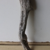 Treibholz Schwemmholz Driftwood 1 XXL Ast  Garderobe 117 cm 