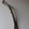 Treibholz Schwemmholz Driftwood 1 XXL Ast  Garderobe 117 cm 