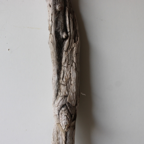Treibholz Schwemmholz Driftwood 1 XXL Ast  Garderobe 117 cm 