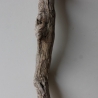 Treibholz Schwemmholz Driftwood 1 XXL Ast  Garderobe 117 cm 