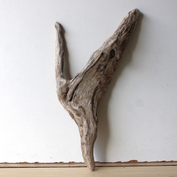 Treibholz Schwemmholz Driftwood 1 Skulptur  42 cm Bastelmaterial